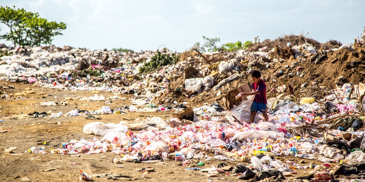 Going Plastic Free: Our Editor-in-Chief Takes the Challenge